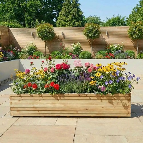 Pine raised wooden - pine,